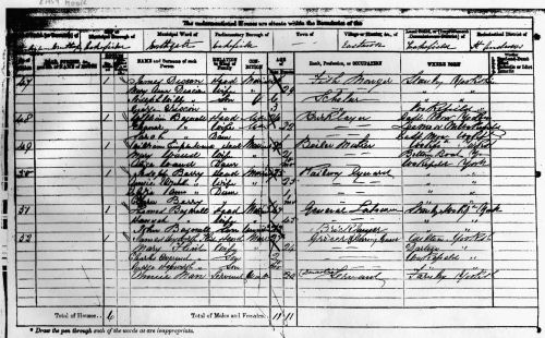 1871 Census entry for Thomas and Hannah Bagnall Household